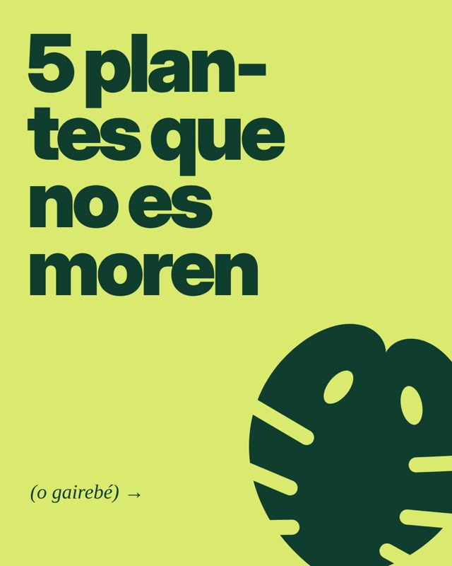 Planta Baixa